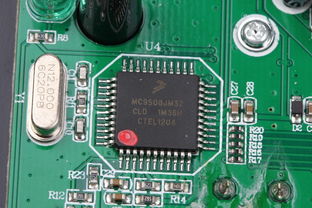 賽睿魔獸世界無線鼠標拆解高清圖賞 探索經(jīng)典聯(lián)名設(shè)計的內(nèi)部奧秘